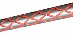 snake skin flute tc encore contender